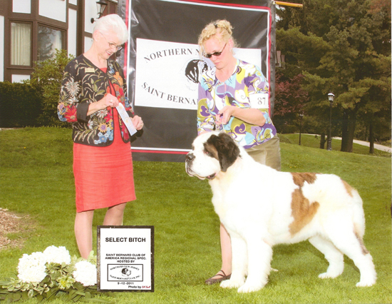 Kanadasaga Kennel Club - Finger Lakes Region of Western ...